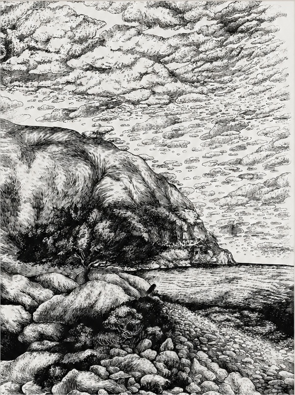 Ranger le chaos, Indian ink on paper